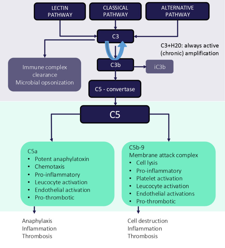 Complement-Figure